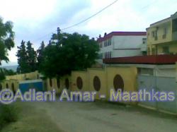 Adlani amar maathkas